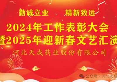 公司2024年工作總結(jié)暨2025年迎新春文藝匯演圓滿(mǎn)結(jié)束